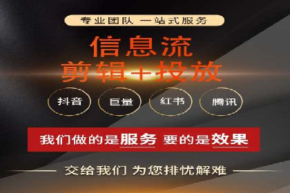 成功运用SEM服务实现品牌快速成长的案例